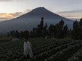 Mengawal Komitmen Dua Kabupaten Menjaga Sindoro-Sumbing