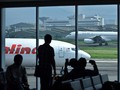 Wabah Virus Corona Gerus Bisnis Kargo APII Hingga 36 Persen