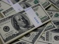 Bukit Asam Batal Rilis Global Bond US$2,5 Miliar Tahun Ini