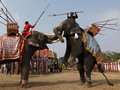 Pesta Buah di Hari Gajah