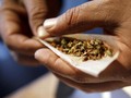 Polisi Sita 142,8 kg Ganja Jaringan Aceh-Jakarta