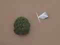 Banjir Landa Utara Australia, Ribuan Orang Mengungsi