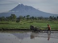 Pupuk Indonesia Terima Subsidi Rp100 Triliun dalam 5 Tahun