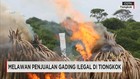 Melawan Penjualan Gading Ilegal di Tiongkok