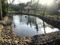 Kampung Flory, Desa Wisata Tanaman Hias dan Kolam Terapi Ikan