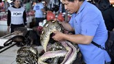 Karena daging hewan yang dijual di sini unik-unik, Pasar Tradisional Tomohon ini pun dikenal dengan nama pasar ekstrem. Harga daging di sini bervariasi dan tidak tetap karena bergantung pada kesediaan stok daging-daging ini. (AFP PHOTO/Bay ISMOYO)