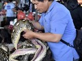 Pasar Tradisional Tomohon, Bukan Pasar Daging Sembarangan