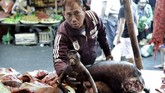 Suplai daging hewan ini tidak hanya dari Manado saja tetapi juga dari Palu dan Gorontalo. Stok daging babi hutan dan anjing kabarnya didatangkan dari kedua kota tersebut. (AFP PHOTO / Bay ISMOYO)