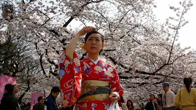 Prediksi Musim Mekar Bunga Sakura di Jepang Tahun Ini