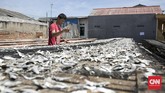 Selain menjualanya, hasil dari tangkapan ikan para nelayan di kawasan itu juga diolah menjadi ikan asin. (CNN Indonesia/ Hesti Rika)