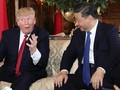 Trump Ajak Rembuk Xi Jinping soal Rencana Bertemu Kim Jong Un
