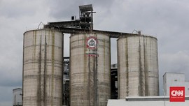 Semen Indonesia Tebar Dividen Rp805,7 Miliar