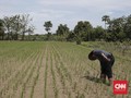 Ribuan Orang Masyarakat Adat Jadi Korban Konflik Agraria