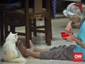 Demensia, Lebih dari Sekadar Pikun