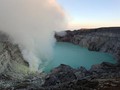Banyuwangi Masih Aman Dikunjungi