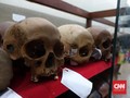 Ilmuwan Temukan Leluhur Manusia, Lebih Tua dari Homo Sapiens