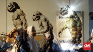 Indonesia Kehilangan Ratusan Gambar Prasejarah