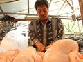 Pemerintah Cari Tahu Penyebab Harga Ayam Anjlok