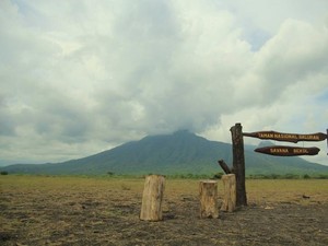 Pilihan 7 Aktivitas Seru Sehari di Taman Nasional Baluran Africa van Java