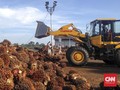 Gapki Ramal Harga CPO Sampai US$720 per Ton Tahun Depan