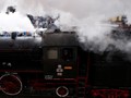Keliling Pabrik Gula Olean Sembari Naik Kereta Uap