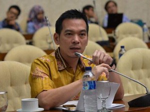Legislator Minta Bekas Karhutla Ditanami Sawit Diusut: Cederai Hati Rakyat