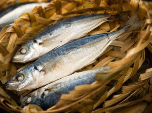 Harga Sembako Jogja Hari Ini 20 Desember 2024: Ikan Kembung Naik Jadi Segini
