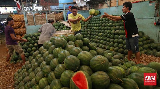 Deretan Buah Termahal, Seharga Setara Satu Unit Motor