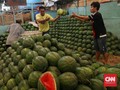 Deretan Buah Termahal, Seharga Setara Satu Unit Motor