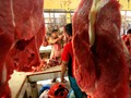 Kementan Belum Beri Rekomendasi Impor Daging Sapi Brasil