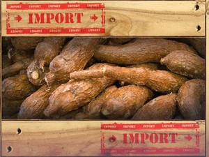 Impor Singkong -Tapioka Mau Dipajaki Agar Petani Tak Merana