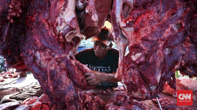 Bulog Tidak Akan Impor Daging Sapi