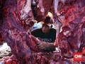 Bulog Tidak Akan Impor Daging Sapi