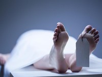 Viral Pasutri Lansia Membusuk-Anak Entah Kemana, Nasib Warisan Gimana?