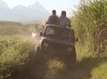 'Ngabuburit' Menjelajah Perkebunan Kopi di Kaki Gunung Kelud