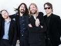 Foo Fighters Senang Koleksi Gambar Aneh dari Fan