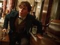 'Non-magique,' Sebutan Baru Non Penyihir 'Fantastic Beasts 2'
