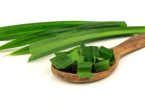7 Manfaat Daun Pandan yang Kerap Dijadikan Bahan Masakan