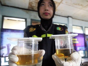 Surat Keterangan Bebas Narkoba: Cara Membuat, Syarat, Biaya