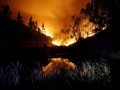 Kebakaran Hutan, Kanada Berlakukan Kondisi Darurat