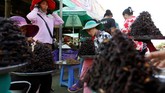 Namun, kuliner ekstrem ini tidak dijual bebas di seluruh Kamboja. Banyak petualang kuliner yang sengaja datang ke Kampong Thom hanya demi mencicipi tarantula.