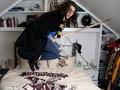 Penggemar Harry Potter Kini Bisa Terbang Keliling Hogwarts