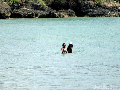 2 Puteri Obama Berenang 4 Jam di Pantai Jimbaran