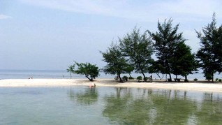Sebuah Pulau di Jepang 'Menghilang'