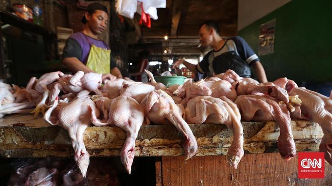 KPPU: Suplai Aman, Harga Daging Ayam Tak Naik Jelang Ramadan