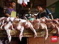 Mendag Klaim Harga Daging Ayam Hingga Bawang Putih Turun
