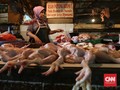 Mendag Akui Gagal Kendalikan Harga Ayam Saat Lebaran
