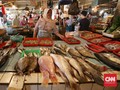 Menteri Susi Ingatkan Stok Ikan Jangan Susut Lagi