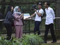 Jokowi 'Berguru' Main Mobile Legends ke Kaesang