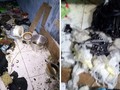 Polisi Temukan Paku 7 Sentimeter dalam Bom Panci Bandung
